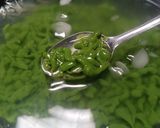Foto langkah ke 7 dari resep Cendol Homemade TANPA CETAKAN.