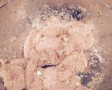 A picture of step 1 of Hidden Valley Ranch Strips.