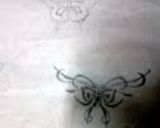 A picture of step 1 of Ladybirds 3D Butterflies and Flowers ..