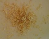 A picture of step 1 of Zingy lemon sorbet from Andrew James recipe book 😃.
