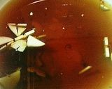 A picture of step 1 of Hakata-style Motsu Offal Hot Pot (Lightly-Flavored Soy Sauce Version).