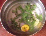 निंबू पुदीना का शरबत (Nimbu pudina ka sharbat recipe in hindi) रेसिपी चरण 4 फोटो