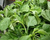 பாரம்பரிய முளைக்கீரை கடையல் ரெசிபி ஸ்டேப் 1 புகைப்படம்