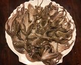 A picture of step 1 of California Farm Small Octopus.