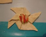 Foto del paso 9 de la receta: Formas de holajaldre