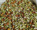 A picture of step 3 of Sprouted salad.