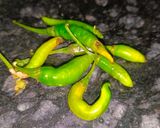 रोस्टेड चना चाट रेसिपी चरण 2 फोटो