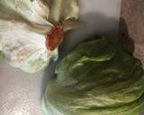 Turkey Lettuce Wraps recipe step 8 photo