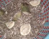 A picture of step 6 of Silver Cyprinidae and cornmeal 😜😜.