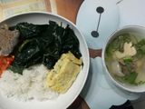 Daun Pepaya Jepang