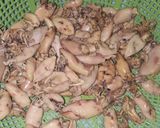 Foto langkah ke 1 dari resep Sambal Pete Baby Cumi ala jualan.