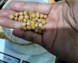 Foto langkah ke 3 dari resep Susu Multigrain Homemade.