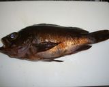 A picture of step 1 of Preparing Simmered Black Rockfish.