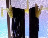 A picture of step 13 of Pasta alla Puttanesca with Handmade Black Pasta.