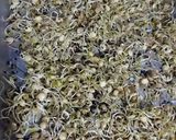 Foto del paso 3 de la receta: Brotes de lentejas 🌱 (3 opciones) 😉 😁