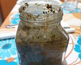Foto del passaggio 4 della ricetta Pesto 🍃
