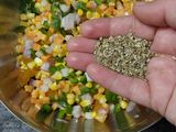 વેજ મેયો ગ્રીલ સેન્ડવીચ