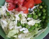 A picture of step 1 of Vermicelli veg upma.