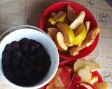 1308. Alma, szeder és birsalma leves 😋 recept fázis 1 fotója