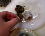 A picture of step 5 of Fresh Turban Shell Sashimi.