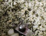 A picture of step 5 of Instant Sweet & Tangy Coconut Chutney.