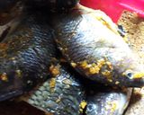 Foto langkah ke 2 dari resep Ikan nila goreng sambal jahe kecap.