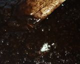 A picture of step 9 of Chocolate guiness cake.