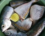 Foto langkah ke 1 dari resep Kuah asam ikan ekor kuning#BantuMantenBaru.