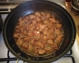 Vickys Asian-Style Braised Pork GF DF EF SF NF recipe step 5 photo