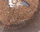 A picture of step 3 of Spicy Chicken Biryani.