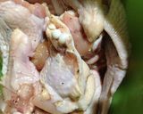 รูปขั้นตอนการทำที่ 1 ของ ไก่ทอดน้ำปลา