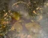 A picture of step 6 of Vegetable soup/ edikang ikong.