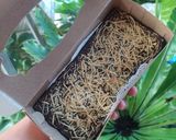 Foto langkah ke 9 dari resep Fudgy Brownies Chesee.