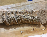 Foto del paso 7 de la receta: Pan lactal integral con semillas y avena