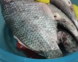 صورة لخطوة 2 من وصفة سمك صيادية تحفة 💐🐟🐠