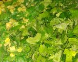 कद्दू के पत्तों की दाल वाली साग (Kaddu ke patto ki dal wali saag recipe in hindi) रेसिपी चरण 3 फोटो