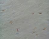 A picture of step 5 of Orange mandazi.