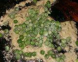 A picture of step 8 of Methi malai matar.