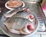 รูปขั้นตอนการทำที่ 1 ของ ปลานิลทอด โดย:ทำครัวง่ายๆbyจุไรรัตน์