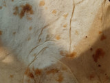 تهدیگ شیرین