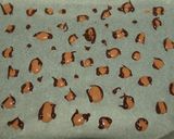 Φωτογραφία βήματος 8 της συνταγής Cheesecake leopard