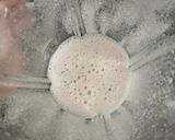 Foto langkah ke 2 dari resep Jus Melon Susu Kedelai.
