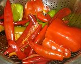 صورة لخطوة 7 من وصفة 🌶 الشطة الحارة 🌶 او معجون الحر 🌶