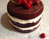 બ્લેક ફોરેસ્ટ ચોકલેટ કેક (Black Forest Chocolate Cake Recipe In Gujarati) રેસીપી સ્ટેપ5ફોટો