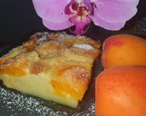 Foto do passo 6 de Clafoutis de damasco