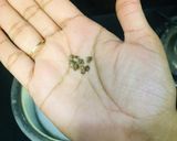 A picture of step 5 of Samak Chawal/ Moraiyo ki Kheer.