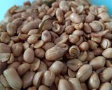 Foto langkah ke 5 dari resep Kacang Bawang.