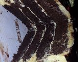 A picture of step 21 of Moist Chocolate cake.