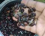 பருத்தி பால்(Paruthi paal recipe in tamil) ரெசிபி ஸ்டேப் 1 புகைப்படம்
