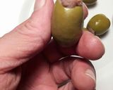 Foto del paso 6 de la receta Aceitunas gordales rellenas de melvas en salazon
